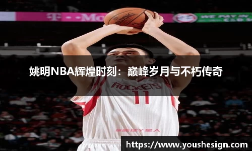 姚明NBA辉煌时刻：巅峰岁月与不朽传奇